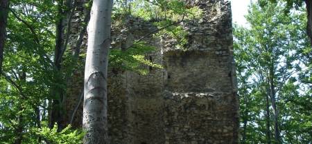 Ruiny Grodziska - Kaltenštejn