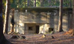 Srub StM - S 31a, S 31b BOREK, OZDRAVOVNA