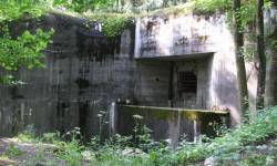 Srub StM - S 50 U TRATI