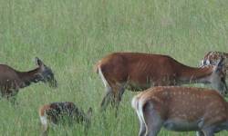 Ekologická farma Morava