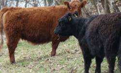 Farma Štědrákova Lhota