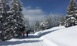 Lyžařské běžecké trasy Skřítek