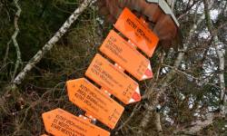 Lyžařské běžecké trasy Branná