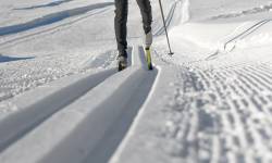 Lyžařské běžecké trasy Bruntál