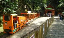 Kopalnia Zlota (Zlatý důl)