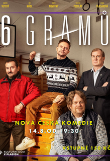 6 gramů