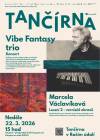 Radek Krampl - Vibe Fantasy trio - koncert + Marcela Václavíková - Lessní 2 - vernisáž obrazů