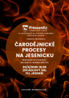 ČARODĚJNICKÉ PROCESY NA JESENICKU