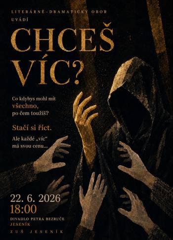 CHCEŠ VÍC?