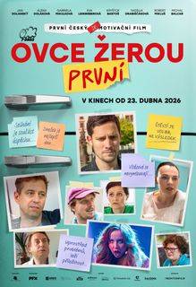 Ovce žerou první