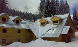 Chata Lyžař, Přemyslov