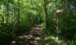 Mineralogická naučná stezka