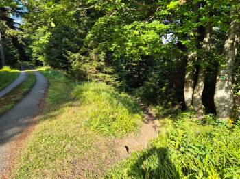 Uzavření zelené turistické trasy