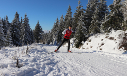 Dolní nádrž - Františkova myslivna