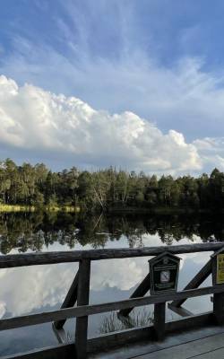 Duży staw porośnięty mchem