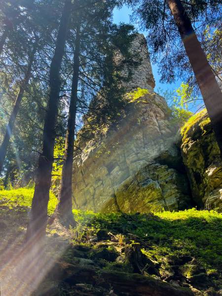 Burgruine Koberštejn