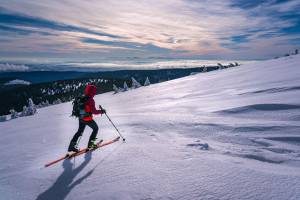 Záznam není přeložen
