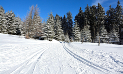 Jesenická lyžařská magistrála část Paprsek - Hynčice pod Sušinou