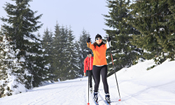 Jesenická lyžařská magistrála část Skřítek - Alfrédka