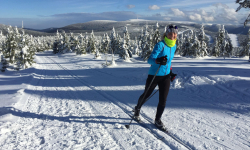 Mezi nádržemi Dlouhých strání