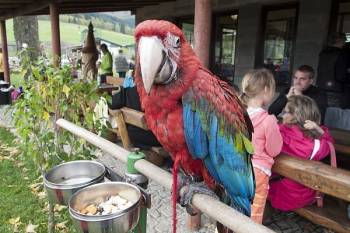 V Jeseníkách se setkáš i s ryzí exotikou