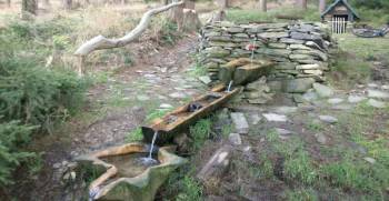 V Rychlebských horách vznikl další lesní bar