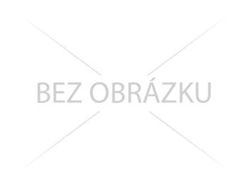 THE BACKWARDS – WORLD BEATLES SHOW / ZRUŠENO! VSTUPENKY ZŮSTÁVAJÍ V PLATNOSTI